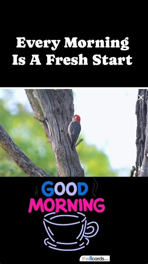 #Everymorningisafreshstart #goodmorning #birdwatching #naturelovers #wildlife #birds #lovelifeandliveit | Weng Jaro
