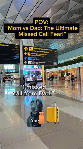 POV: Mom's 50 calls vs Dad's 1 call 🏃💨 #shorts #catmemes