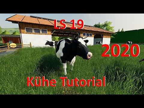 LS19 Kühe [2020] Tipps für Anfänger