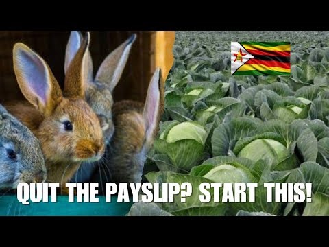 10 Farming Businesses You Can Start With $500 And Beat A Government Salary