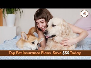 Find the Best Pet Health Insurance | Compare & Save Today
