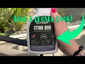 Stink Bug Spray, 22 oz. | Natural, Plant-Based Stink Bug Killer for Indoor and Outdoor | Review