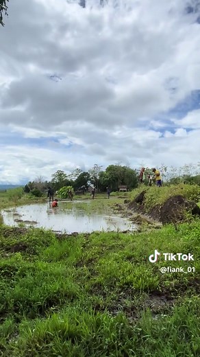 #fypシ #wijapaggalung🌾 #petanimuda