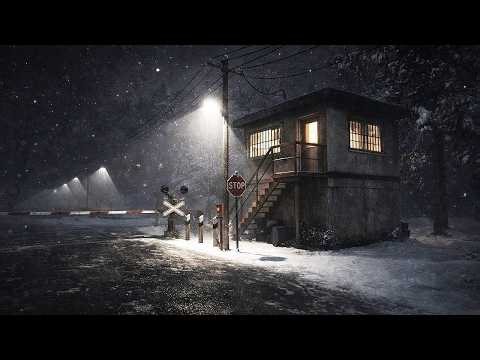 AKU JAGA REL KERETA DI MALAM HARI NAMUN HAL ANEH TERJADI.... Barking from the Dark