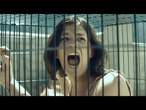 In a World Where Animals Rule, Humans Are Kept as Livestock