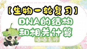 【遗传的分子机制】DNA的结构和计算【一轮复习】