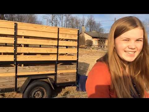 A visit with St. Croix sheep at Burk Family Farm in Franklin, KY