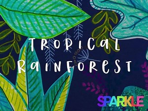 8.8K views · 106 reactions | Throwback to the tropical rainforest...