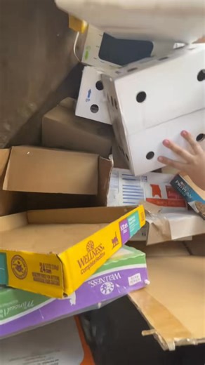 1.5K views · 21 reactions | I'm sure this fish was healthy but since it was never opened being in the trash for hours caused this illness | Dumpster Dive | Facebook