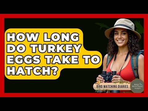 How Long Do Turkey Eggs Take To Hatch? - Bird Watching Diaries