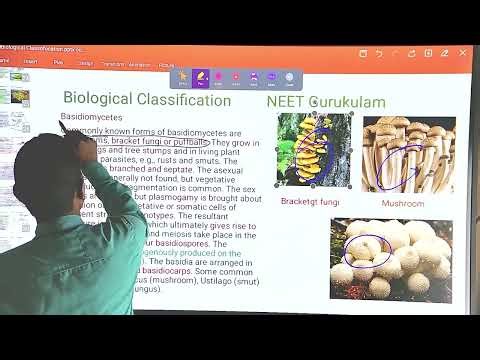 Biological classification (Advanced) Part 03