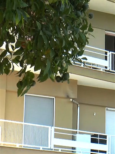 Ξεκίνησαν οι αιτήσεις για μειωμένο ΕΝΦΙΑ #ioniantv #ενφια #μειωσεις #αιτησεις