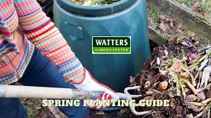 Awaken Your Garden: Spring Planting Guide Hey there, green thumbs! Spring is springing (pun intended!), and you know what that means? Time to get dirty! Before the flowers get all show-offy, let's dig in and prep our gardens for maximum awesomeness. Think happy soil – load it up with yummy organic stuff (but get started early, or your seedlings might get grumpy). Want a veggie jumpstart? Sow some seeds indoors before March and be the envy of the block. Remember, real gardeners dig all seasons, n