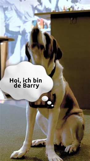 Ascot Elite Entertainment on Instagram: "MEIN FREUND BARRY ist ein grosses Abenteuer inmitten der Schweizer Bergwelt! 🗻🐕 Jetzt nur im Kino! 🎬😍🩵 #freundschaft #Abenteuer #CarlosLeal #Kinoerlebnis #schweizerfilm #Kino #familienfilm #meinfreundbarry"