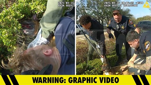 'Bachelor' Alum Sean Lowe's Dramatic Dog Attack Rescue Seen on Body Cam