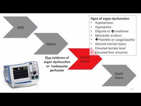 1. Gram Negative Sepsis