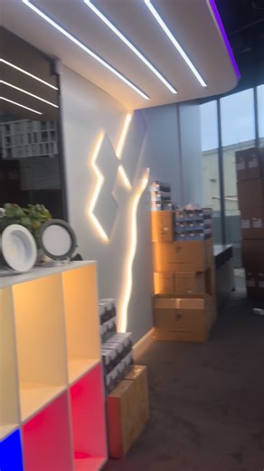 Vesta Lines on Instagram: "Security sensor light."