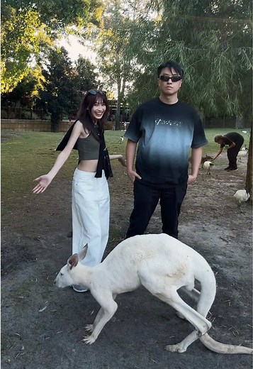 Living in Perth: A Fun Vlog Experience