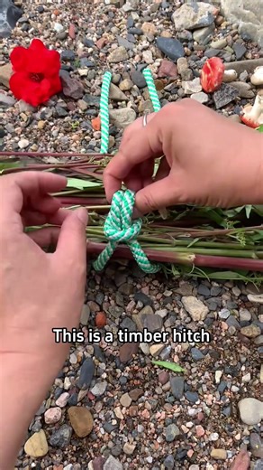 Understanding Different Types of Knots in Science