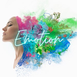 ナリ心理学【感情論】の解説