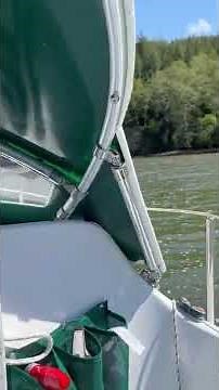 Halman 20 Sailing Wing On Wing