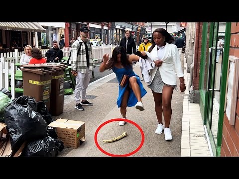 try not to laugh at this moment. snake prank