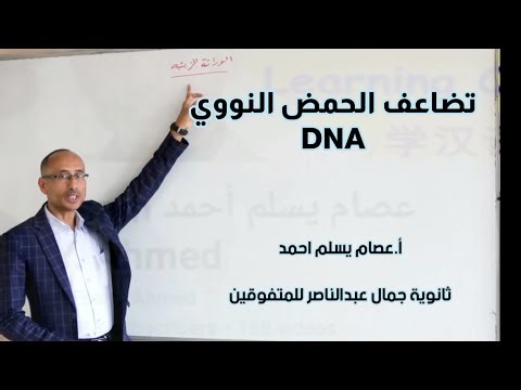 سر تضاعف الحمض النووي DNA