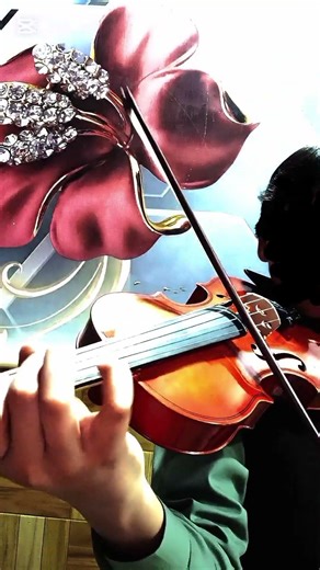 fairy tale on violin♥️