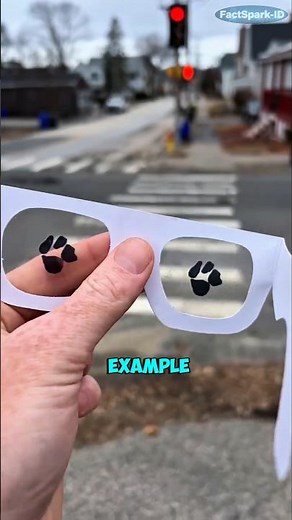 This Is What Blind People Actually See