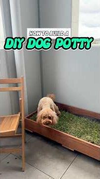 How to build a DIY dog potty plant for your apartment balcony #dog #dogtraining #dogtoilet