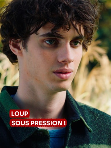 Coup de pression : Loup à l'épreuve !