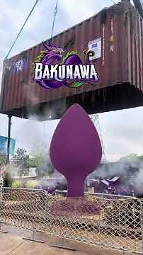 Bakunawa train reveal!