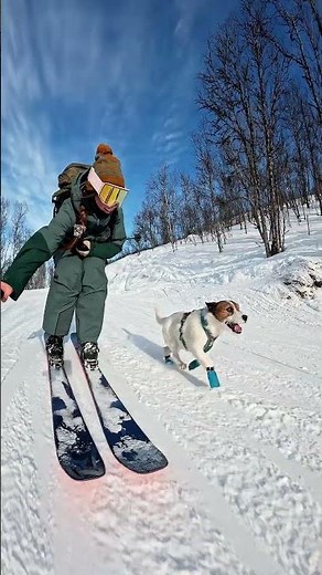 GoPro | Downhill Skiing with a Cute Pup 🎬 Elisabeth Mathisen #Shorts #Dogs