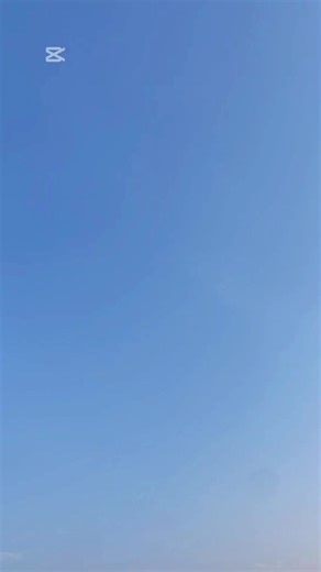 Celebrate SRC Week with Us! 🎉