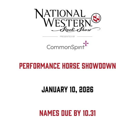 121 reactions | Ride in the 퐏퐞퐫퐟퐨퐫퐦퐚퐧퐜퐞 퐇퐨퐫퐬퐞 퐒퐡퐨퐰퐝퐨퐰퐧! 2 judges 3 disciplines 5 teams $17,000+ NRHA & NRCHA sanctioned Submissions due by October 31st. https://nationalwestern.com/horse-shows/horse-exhibitors/ #WeAreTheWest #NWSS2026 #PerformanceHorseShowdown #120Years | NWSS Horse Exhibitors | Facebook