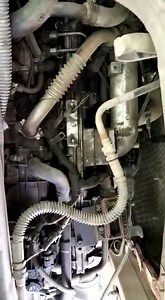 8K views · 65 reactions | Leyland 4923... With troli... Model 2018.... No parking charge Location .... Bharatpur Rajasthan... Cash deal only.. No refinance facility.. Don't call for refinance and negotiation plzz.. No negotiation plzz.. Final rate on Bank kit approved by banker 12.75 lakh .... Our charges is 21240 per vehicle extra and first.. Call or WhatsApp... Sonu ji.. 7877357899.. Pramod Ji.. 9783839239... | VAISHNAV INFRATECH | Facebook