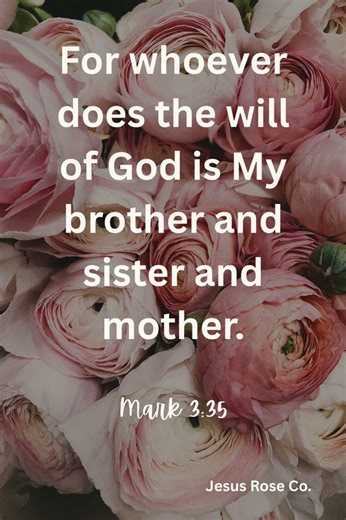 Catholic Bible Study | Mark 3:35 | Jesus Rose Co.✝️