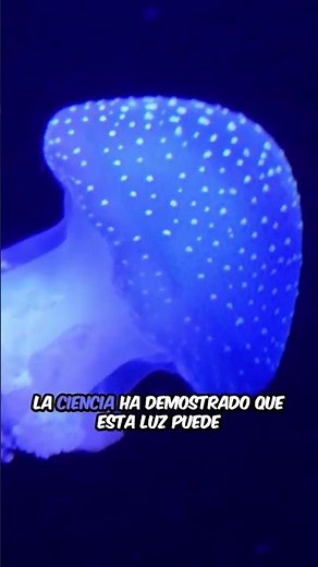 La Medusa que Brilla en la Oscuridad: Ciencia en el Océano 🌌🌊 #curiosidades #oceanografia