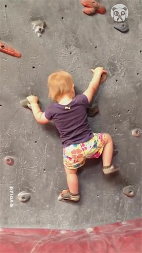 Kid climbing indoor bouldering wall without harness | Bored Panda Art