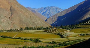 Pisco Elqui: conoce la verdadera historia de una ciudad hecha a la medida