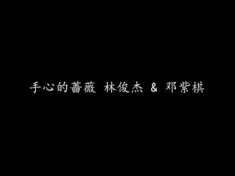 手心的蔷薇 林俊杰 & 邓紫棋 (歌词版)
