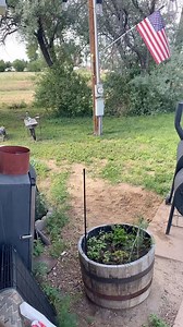 Welders need a break, yard needs cleaned up. And my soul needs a recharge. @mak_themaker taking a soak @kael.martella on the tractor. @coloradodom7 cleaning up the shrubbery. Me? Getting the horseshoe pits dialed in. It SUNDAY FOLKS! Back to the grind tmw! #grilling #oldtractor #simplelife365 | Atomic Forge & Welding Inc.