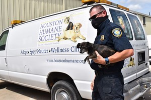 Harris County Animal Cruelty Task Force credits spike in cases to pandemic, domestic abuse