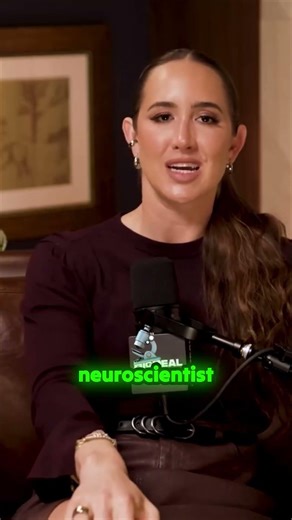 The brain is addicted to novelty, not logic