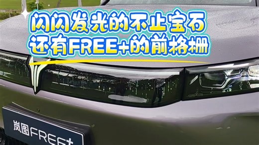 闪闪发光的不止宝石，还有FREE 的前格栅 #岚图FREE  #全新岚图FREE6月24日预售开启