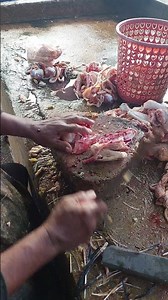 The Art of Chicken Cutting: Techniques and Strategies