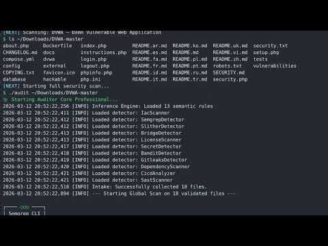 Auditor Core — Security Auditing Engine: 46 Findings, SPI Score in 60 Seconds