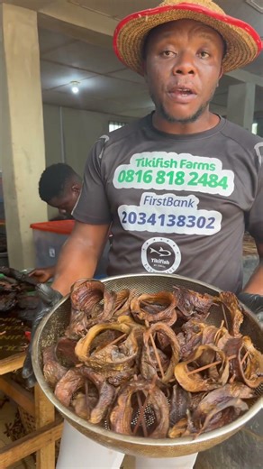 37 Pieces in 1 Kilo?! See This Affordable Abo (Sole) Fish — Limited Stock Available!