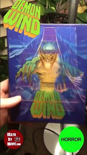 Demon Wind (1990)