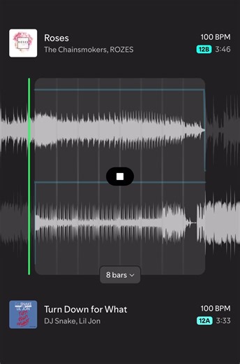 Roses x Turn Down for What Mashup
